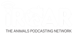 iRoar Logo