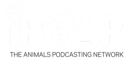iRoar Logo